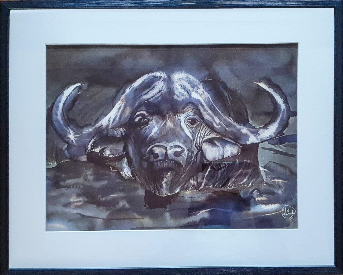 Animal Portrait, Water Buffalo