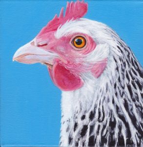 painting of chicken